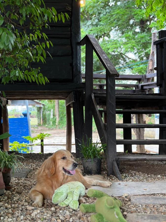 The Legend Homestay. 美艾 外观 照片